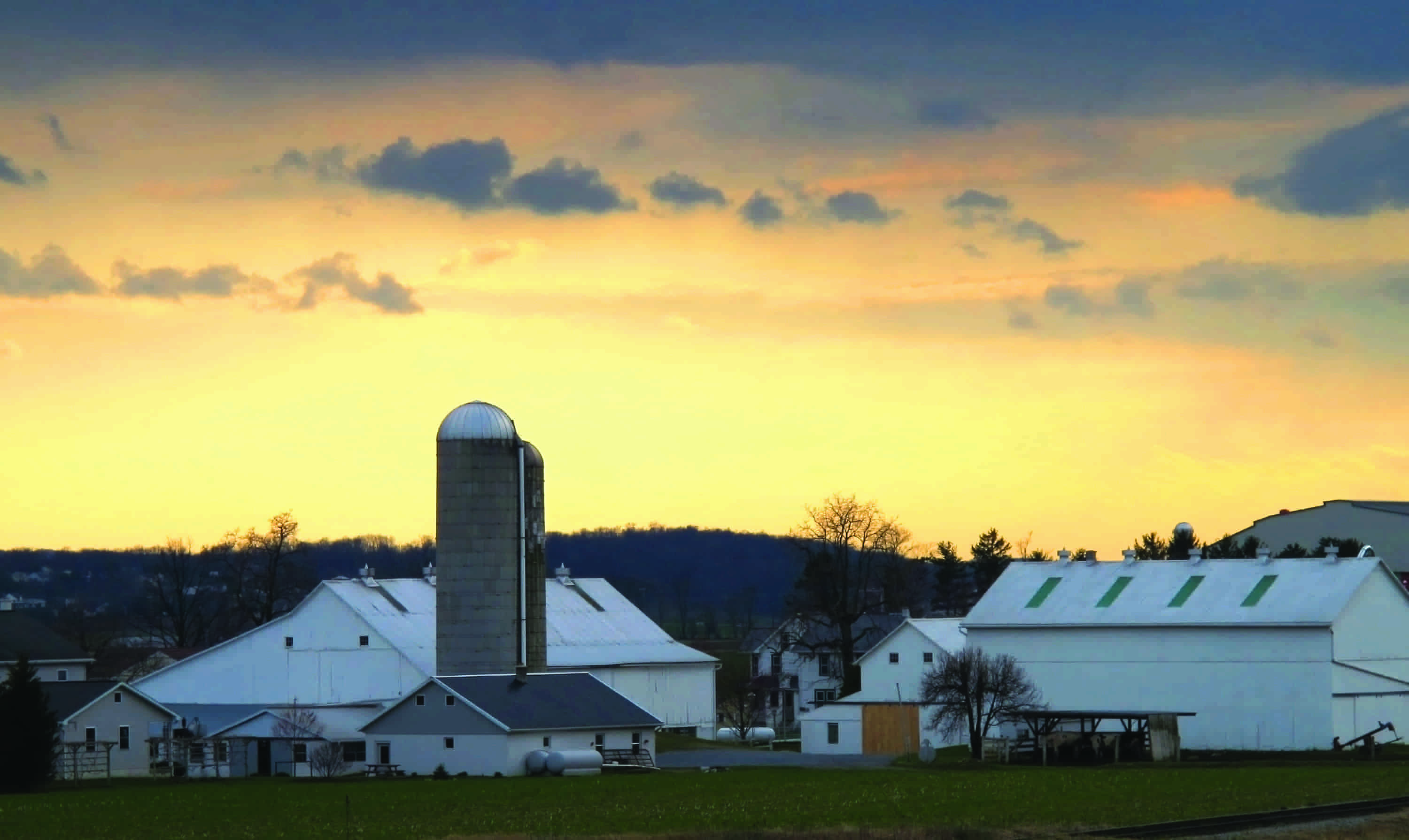 Ohio Amish Express